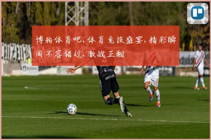 博狗体育吧,体育竞技盛宴,精彩瞬间不容错过,激战正酣
